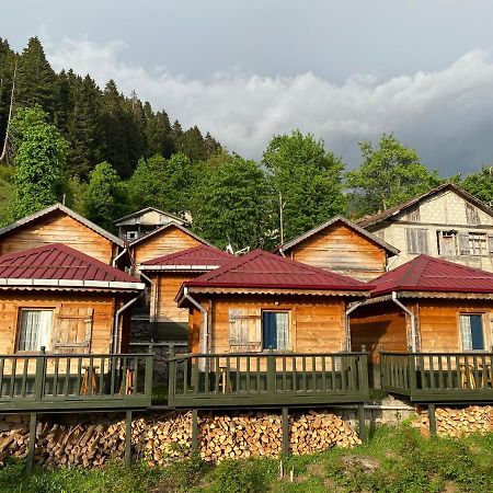 Pilita Bungalov&Rest อายเดอร์ ยายเลอเซอ ภายนอก รูปภาพ