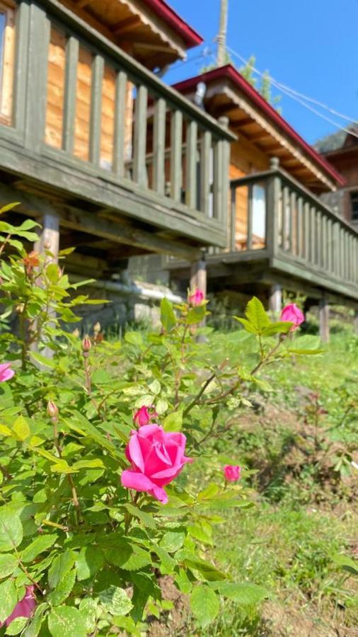 Pilita Bungalov&Rest อายเดอร์ ยายเลอเซอ ภายนอก รูปภาพ