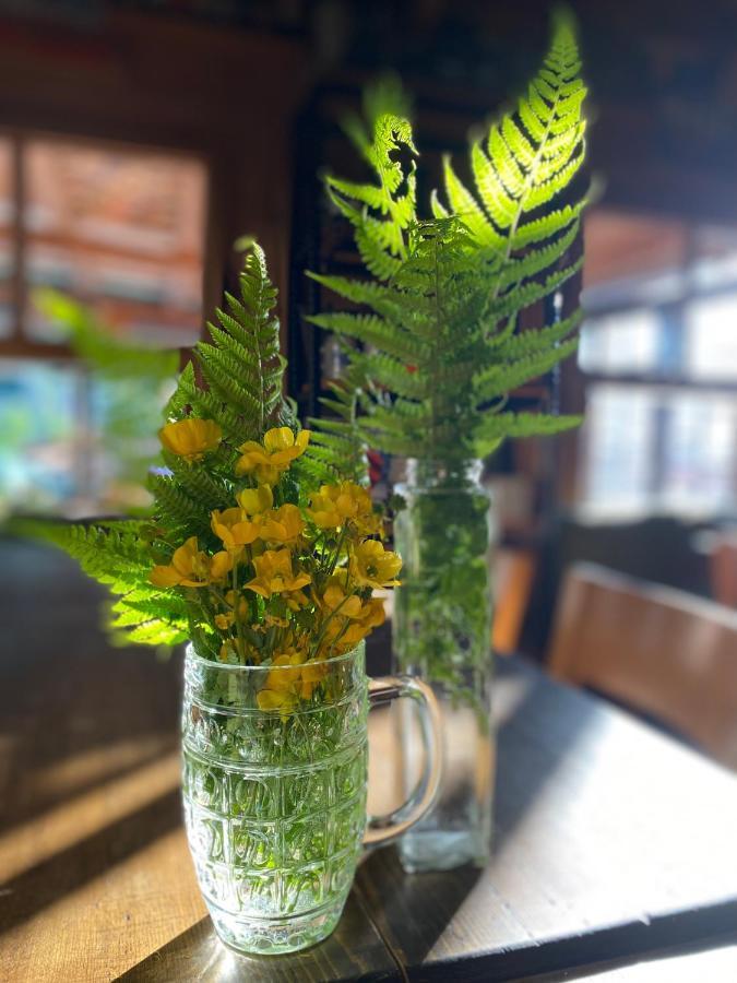 Pilita Bungalov&Rest อายเดอร์ ยายเลอเซอ ภายนอก รูปภาพ