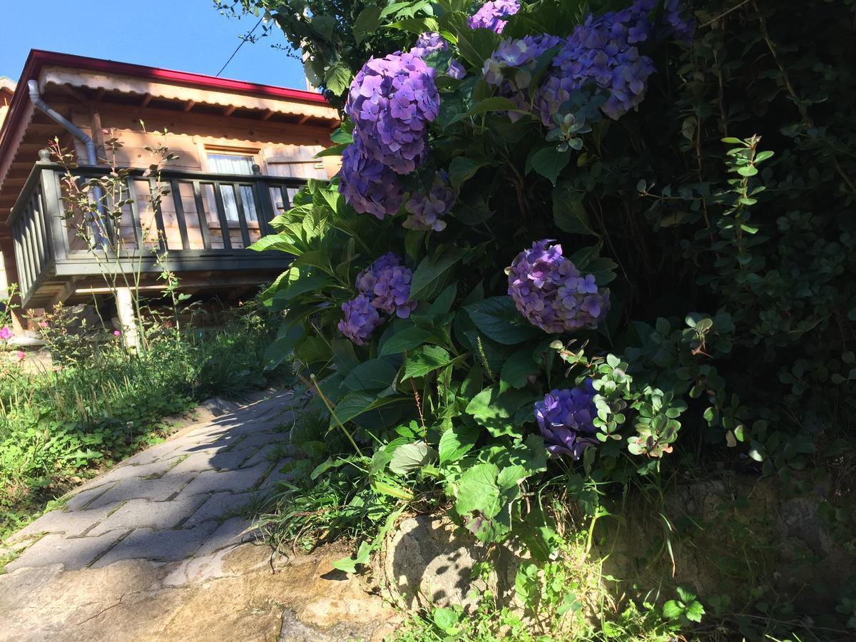 Pilita Bungalov&Rest อายเดอร์ ยายเลอเซอ ภายนอก รูปภาพ
