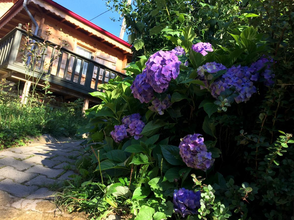 Pilita Bungalov&Rest อายเดอร์ ยายเลอเซอ ภายนอก รูปภาพ